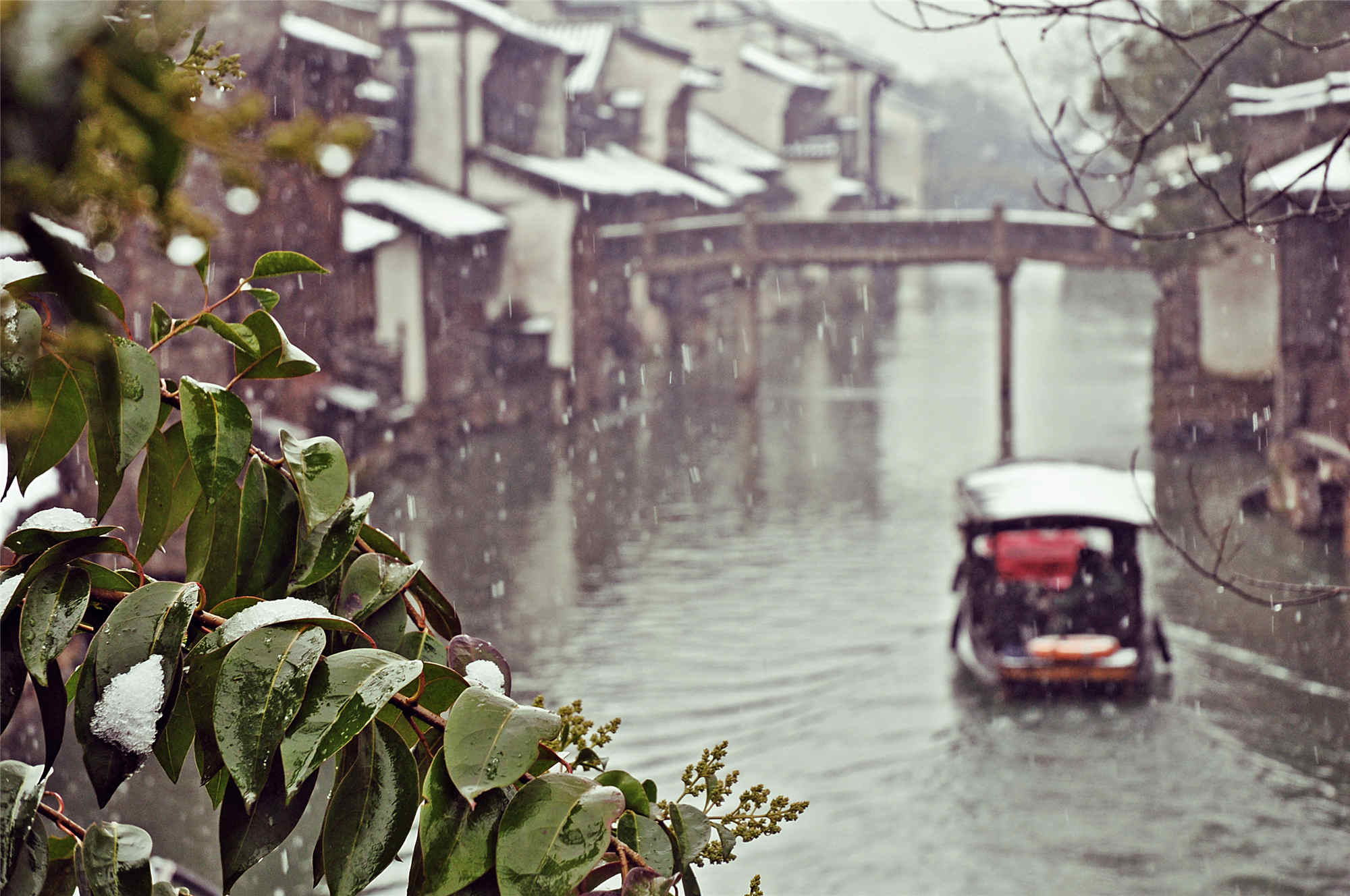 烏鎮(zhèn)雪 (6)_副本.jpg